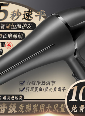 【铜芯电机】家用恒温离子护发