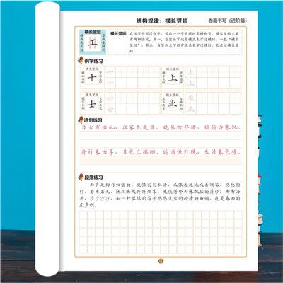 小学生硬笔书法结构规律专题练习