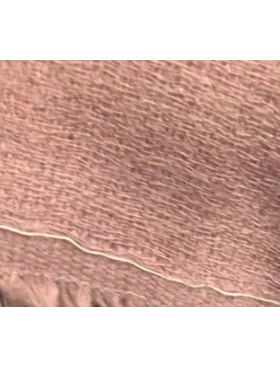 FEN*DI法国羊毛ALPACA羊驼毛混纺 面料粉色外套布料宽145克580