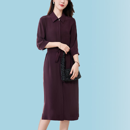 杭州桑蚕丝真丝连衣裙女2025新款气质端庄大气优雅干练教师职业裙