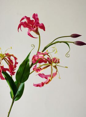 仿真花 嘉兰 火焰百合 家居装饰 花艺师插花 摄影道具 摆件陈设