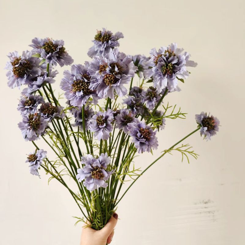 仿真花松虫草田园风 波斯菊蓝盆花插花配材 家居花艺婚庆餐桌装饰图片