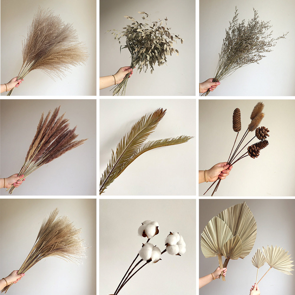干花真花 侘寂风芦苇干花松果棉干花