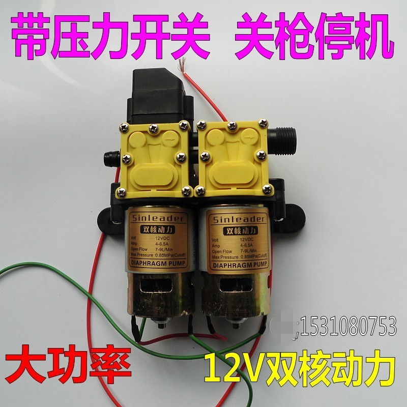 台州信利达12V双核动力水泵 农用电动喷雾器双泵高压 拉100米打药