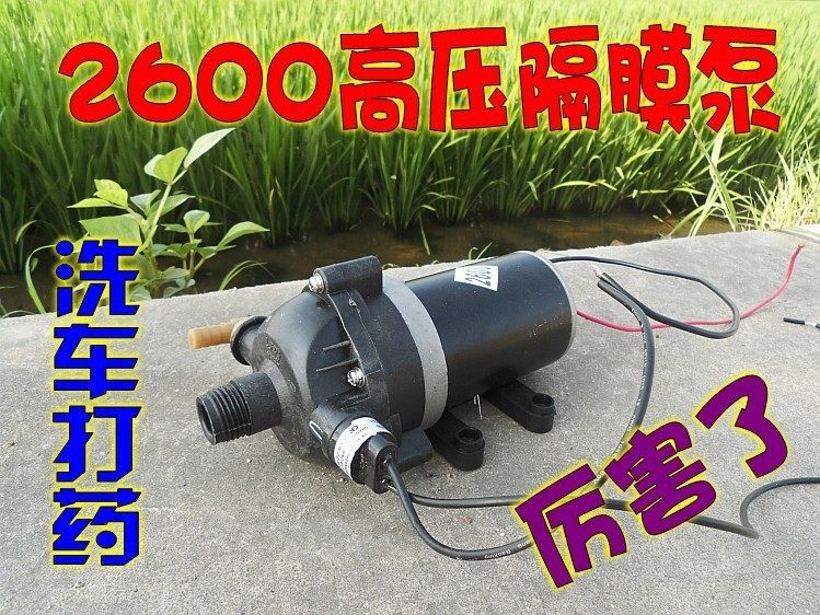 2600大功率电动喷雾打药洗车器/自吸抽水灌溉浇花小流量隔膜水泵