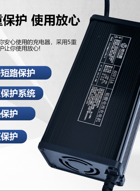 铅酸免维护家用电瓶车48V60V72V8A10A12A15A四轮蓄电池智能充电器