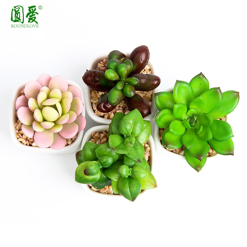 仿真多肉花卉假肉肉植物组合盆栽手工diy微景观套装迷你绿植摆件在类目 鲜花速递/花卉仿真/绿植园艺, 仿真花/绿植/蔬果成品（新）, 仿真绿植中 - 来自Buy2taobao.com提供专业的淘宝代购服务