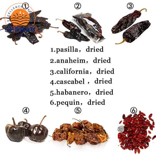 墨西哥干辣椒pasilla/anaheim/加州/cascabel/habanero/pequin