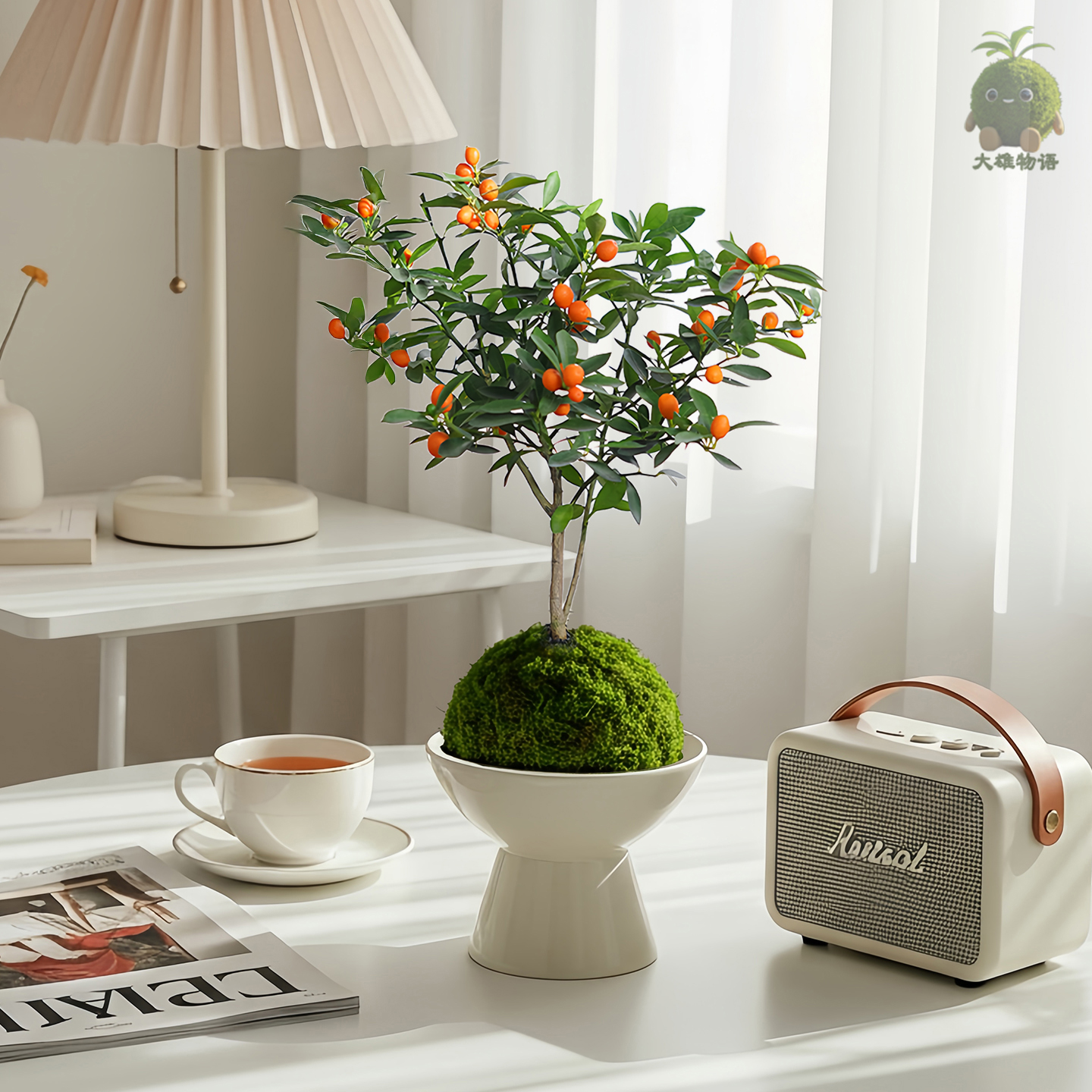 小金豆苔藓球老桩盆景绿植