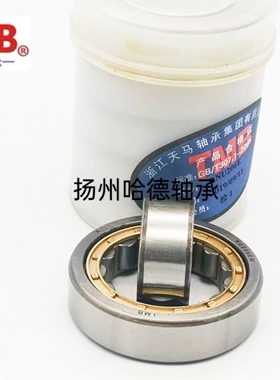 正宗天马TMB圆柱滚子轴承 NU1012M 32112 尺寸：60*95*18