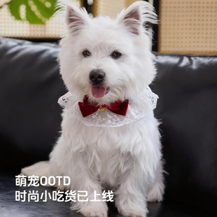 狗狗新年蕾丝围嘴猫咪围脖西高地柴犬口水巾颈饰云肩宠物装饰领带