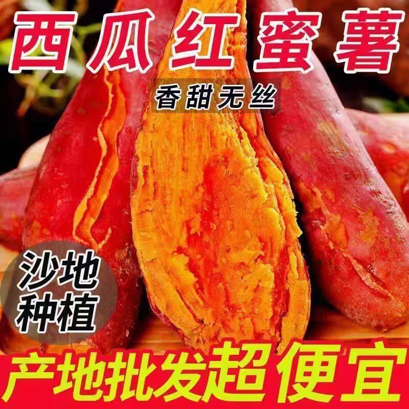 沙地西瓜红蜜薯红薯新鲜番薯农家现发烤地瓜山芋红署单品西瓜包邮