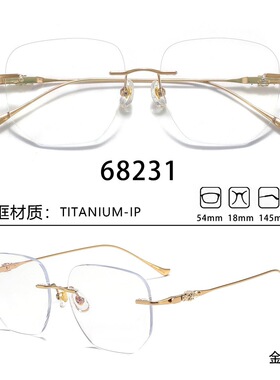 无框纯钛架商务Titanium IP大脸男女近视眼镜框68231 54-18-145