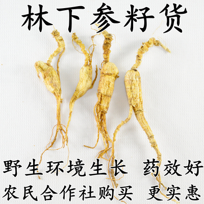 林下参扒皮籽货 小籽货 山参残肢枝支 人参山参残参 可打粉