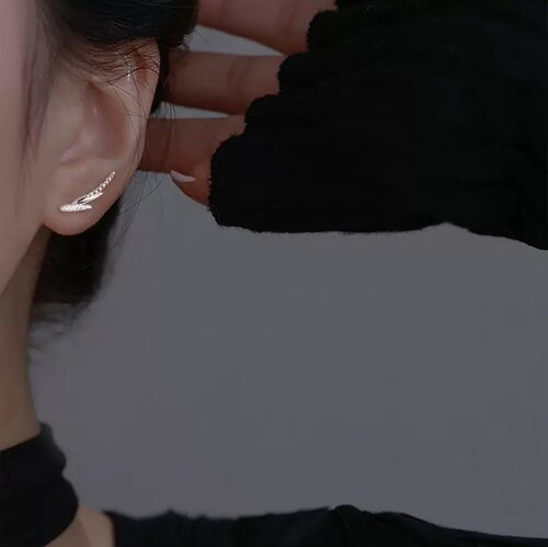 REDO热卖天使之翼耳钉2026年新款甜酷微镶锆石精美翅膀耳环耳饰