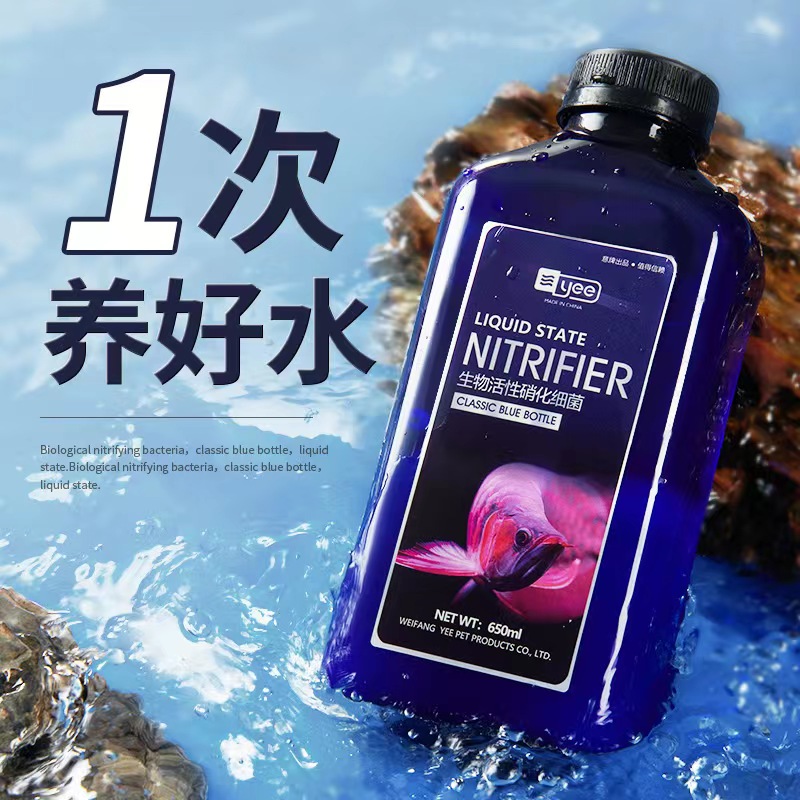 水族消化细菌观赏鱼用