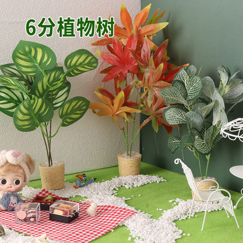 里左拉微缩食玩植物6分盆栽