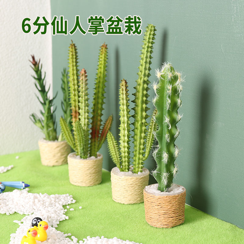 里左拉微缩食玩模型6分植物盆栽