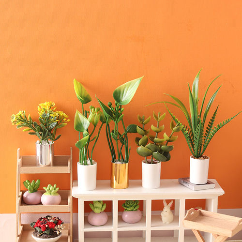 里左拉微缩食玩模型12分植物盆栽