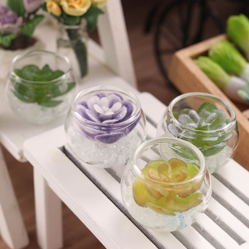 里左拉 微缩食玩多肉植物水培盆栽1:12分ob11娃娃屋玻璃缸模型diy