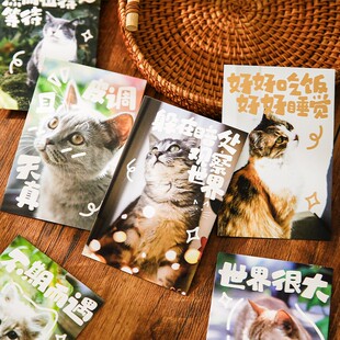 与猫咪一起看世界喵星人生活记录动物猫咪可爱宠物生日卡片明信片