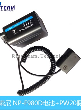 适用索尼A5000 A6000 A5100L A6300L A6500电源AC-PW20+F980D电池
