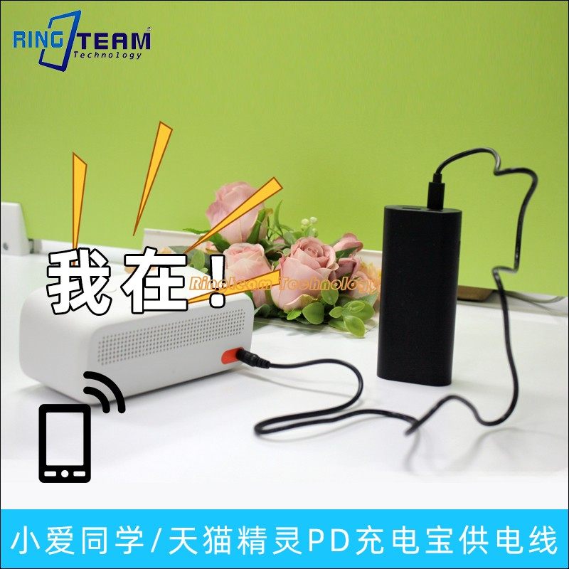 适用天猫精灵小爱同学小度智能音箱DC12V电源线TYPEC充电宝PD供电