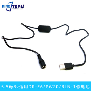 NEX 2.5mm适用于假电池PW20适用索尼相机NEX SLT A33 USB5.5