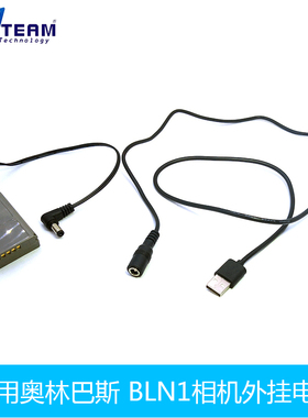 BLN1假电池适用奥林-巴斯E-M1 E-M5 E-P5 E-M5M2 PEN-F相机假电池