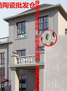 蜂窝背扣外墙砖300x600
