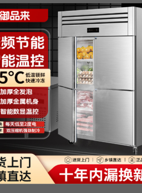 高品质冰箱商用冷柜节能速冻双温
