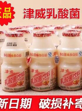 26年日期津威乳酸菌酸奶原味饮品100ml/160ml整箱儿童营养早餐奶