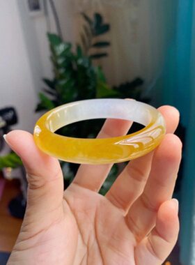 天然冰种黄翡翠手镯女鸡油黄橘黄高冰圆镯子缅甸翡翠玉手镯女送人