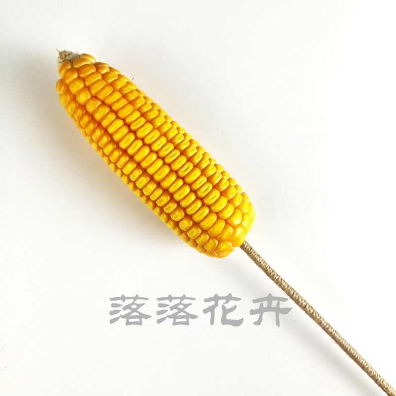天然玉米棒干花田园装饰礼品拍摄道具diy材料富贵室内装饰包邮