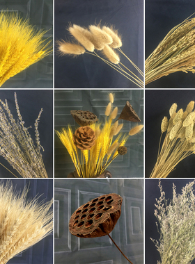 天然麦穗干花真花束开业大麦田园装饰摆件满天星稻穗拍摄道具礼品