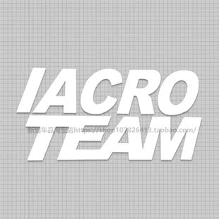 汽车侧窗玻璃车身保险杠装 饰反光潮流贴花 创意改装 IACRO个性