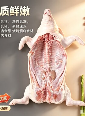 脆皮乳猪新鲜现杀冷冻小乳猪烧烤