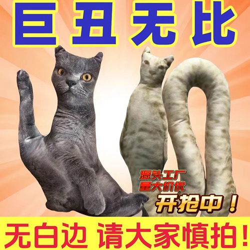 diy印照片专属抱枕定制无白丑猫