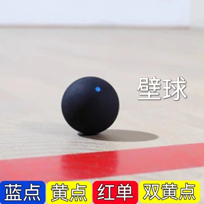 蓝点壁球 红点 单黄点壁球正品初学新手入门比赛弹性壁球
