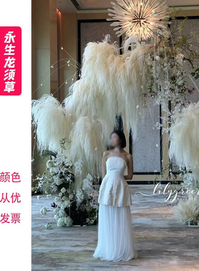漂白干花 软装花艺花材奶白色系 奶白色系干花漂白龙须草漂白吊米