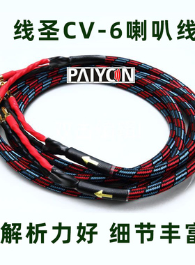 AQ线圣AUDIOQUEST CV-6线芯  HIFI发烧喇叭线 音箱音响线材