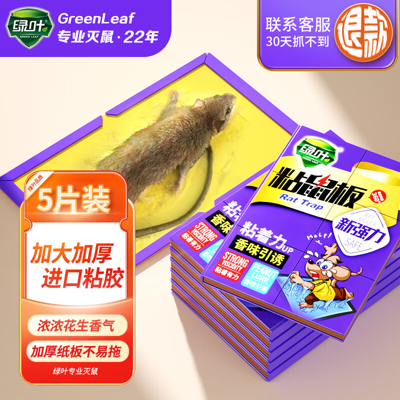 绿叶（Green Leaf）粘鼠板粘鼠胶捕鼠器超强力灭鼠粘板五片装GLGL