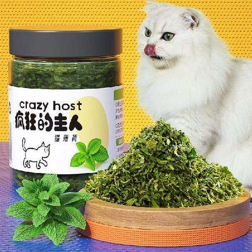 新款疯狂的主人猫猫零食猫草排毛球清洁口腔猫咪薄荷草粉幼猫成猫