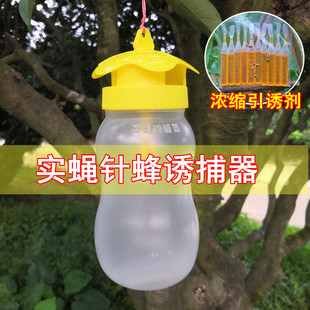 包邮 果蝇诱捕器果园菜地瓜果实蝇针蜂捕捉器内含引诱剂捕抓器诱剂