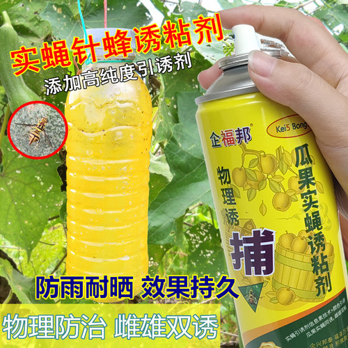 果蝇诱粘剂实蝇诱捕剂杀果蝇针蜂药诱黏引诱剂果园菜地粘虫诱粘板