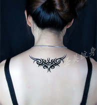 Autocollant pour vélo - Ref 2283538 Image 36