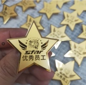 服务之星优秀员工胸牌不锈钢高档工号牌胸卡定制金属五角星徽章