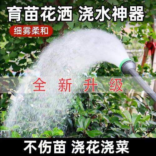 4分6分浇花喷水浇菜雾化育苗喷头