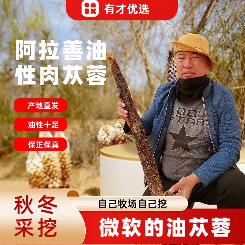 阿拉善肉苁蓉500g大号/中号/小号切片  有机正宗阿拉善肉苁蓉