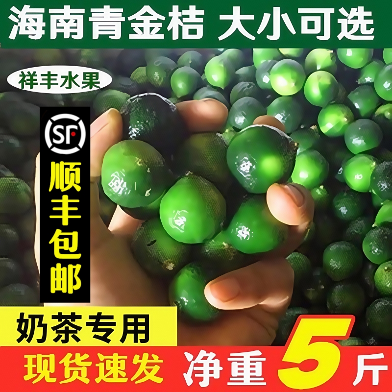 新鲜海南小金桔青金诺小青柠5斤